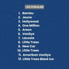 Promosyon Oto Kokusu