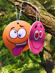 Promosyon Oto Kokusu