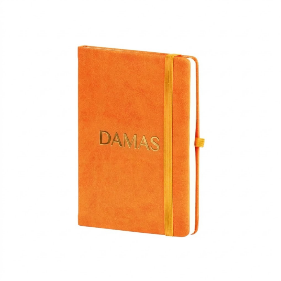 Fatih-S Tarihsiz Defter