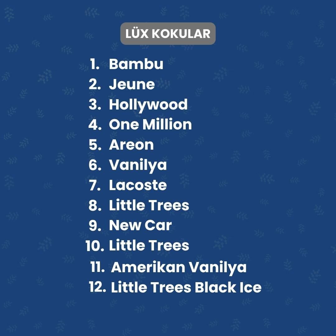 Promosyon Oto Kokusu 5.000 adet - Lüx Parfüm