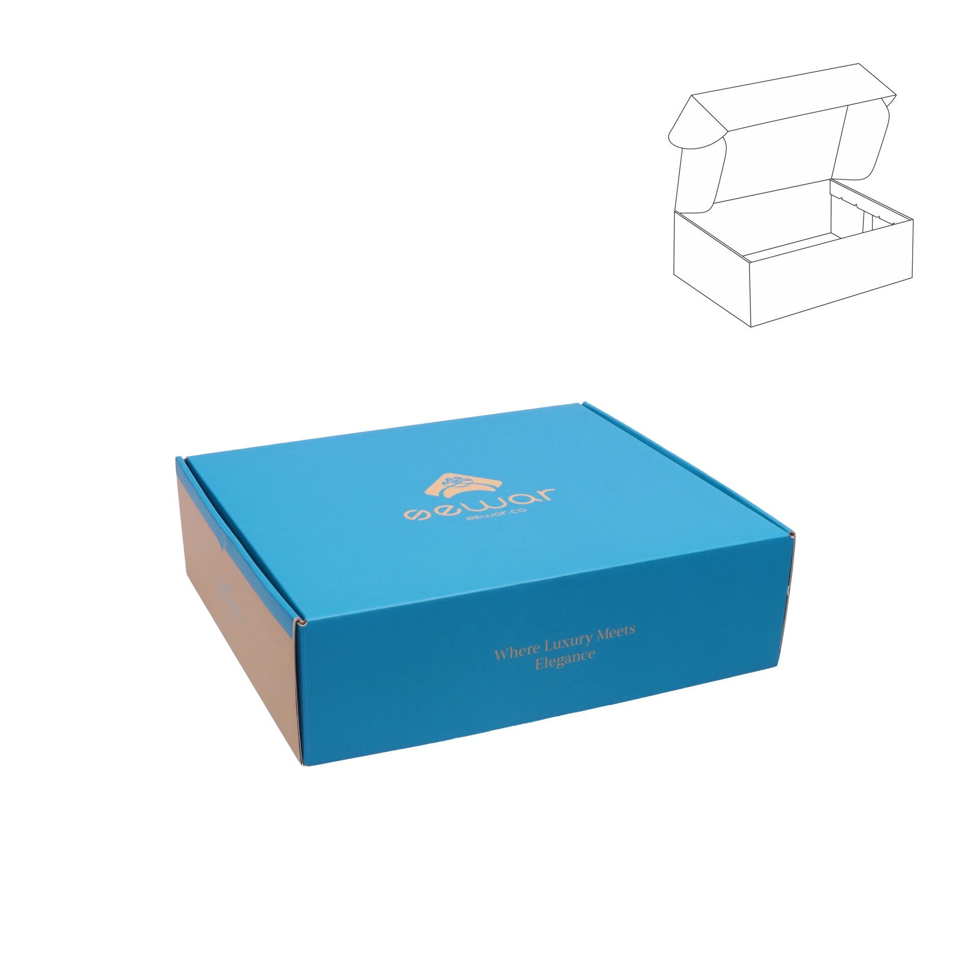 E-Commerce Cargo Boxes Short Lock (Special Production)