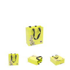 Printed Cardboard Bag with Rope (Small)