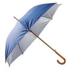 Mangosteen Wooden Handle Umbrella (SPECIAL EDITION)